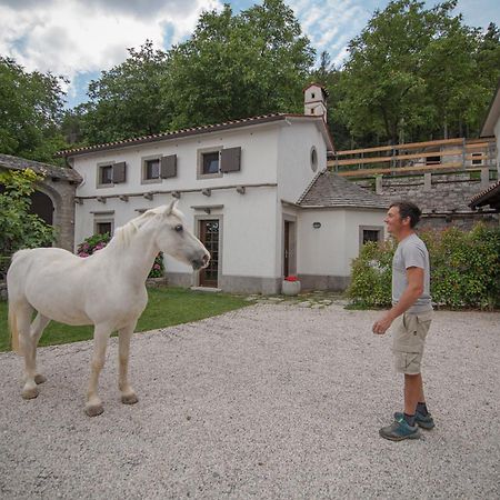 Tmbin'S Barn - Nature, Horses, Family Sežana Exterior foto