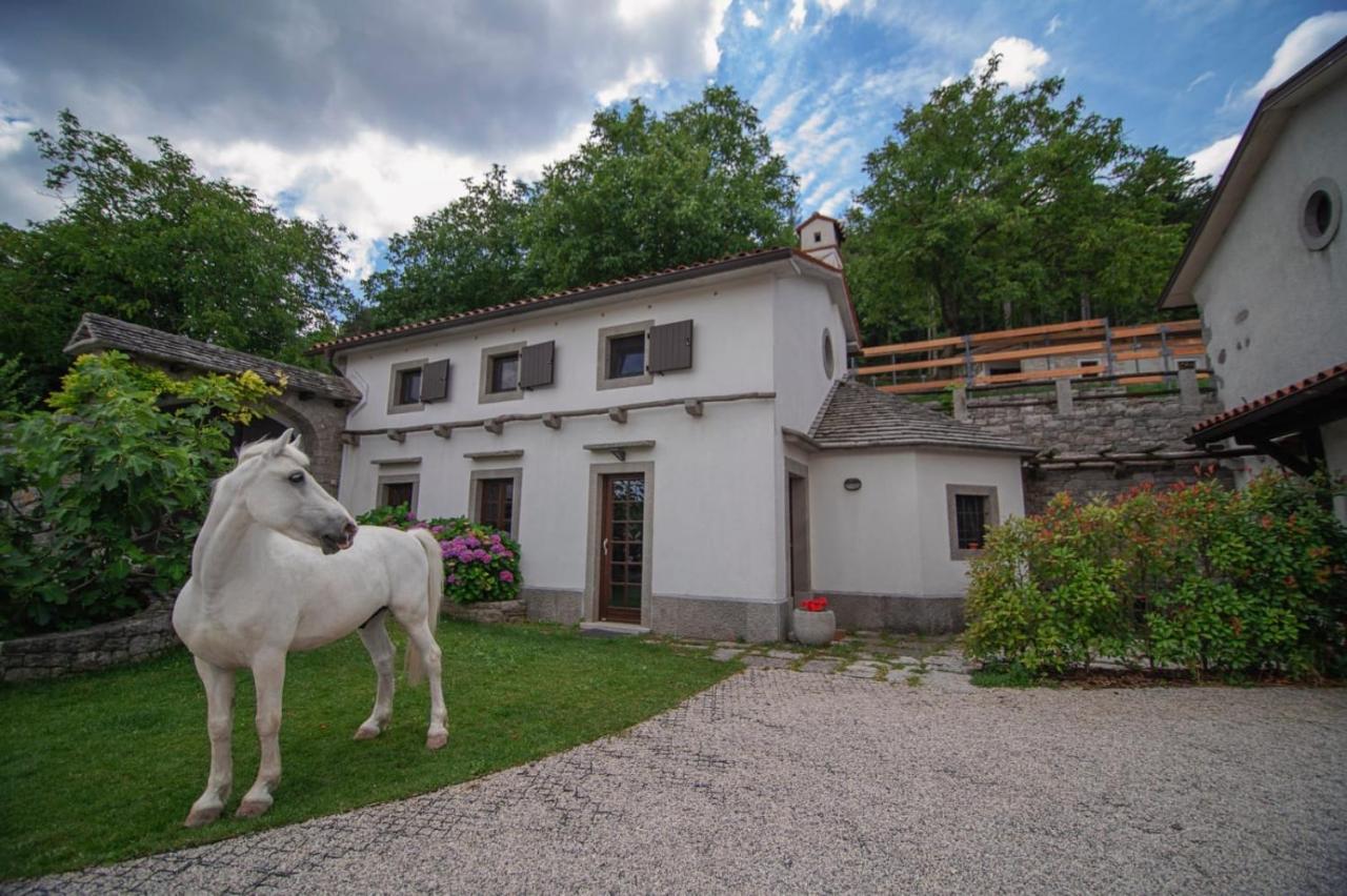 Tmbin'S Barn - Nature, Horses, Family Sežana Exterior foto